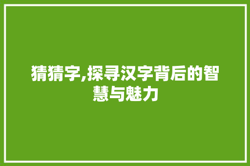 猜猜字,探寻汉字背后的智慧与魅力