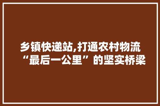 乡镇快递站,打通农村物流“最后一公里”的坚实桥梁