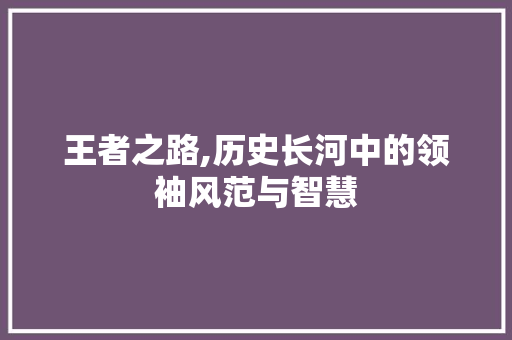 王者之路,历史长河中的领袖风范与智慧