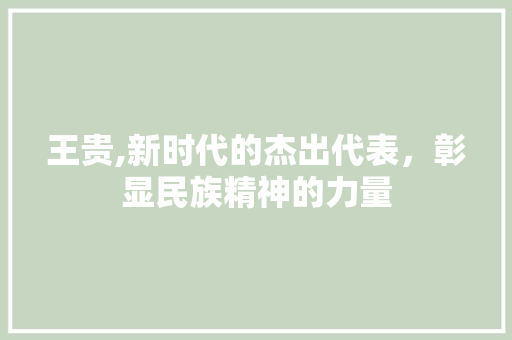 王贵,新时代的杰出代表，彰显民族精神的力量