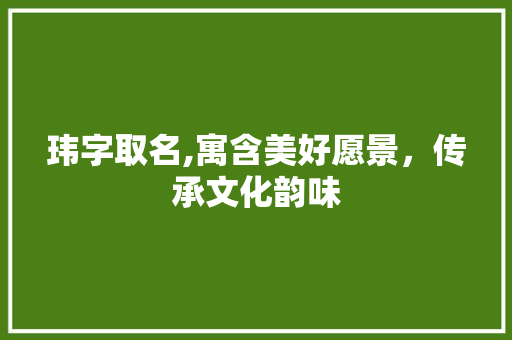 玮字取名,寓含美好愿景，传承文化韵味