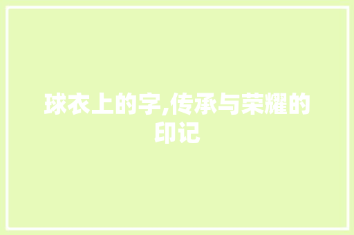 球衣上的字,传承与荣耀的印记