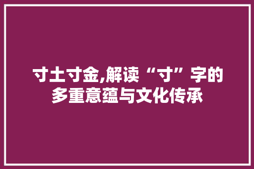 寸土寸金,解读“寸”字的多重意蕴与文化传承