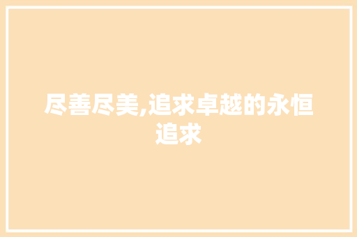尽善尽美,追求卓越的永恒追求