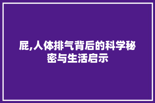 屁,人体排气背后的科学秘密与生活启示