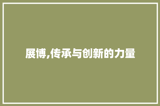 展博,传承与创新的力量 采访稿