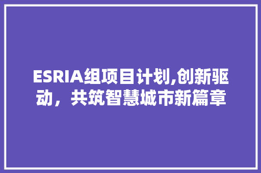 ESRIA组项目计划,创新驱动，共筑智慧城市新篇章