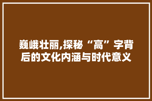 巍峨壮丽,探秘“高”字背后的文化内涵与时代意义 工作报告