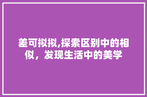 差可拟拟,探索区别中的相似，发现生活中的美学