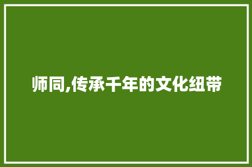 师同,传承千年的文化纽带