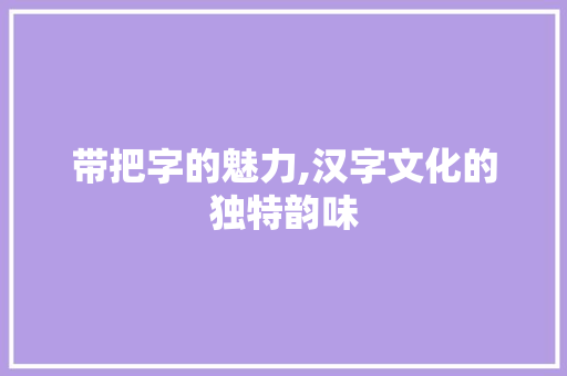 带把字的魅力,汉字文化的独特韵味 商业文稿