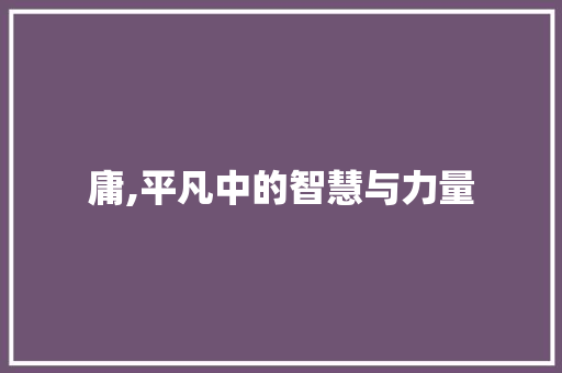 庸,平凡中的智慧与力量 生活随笔