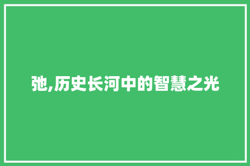 弛,历史长河中的智慧之光