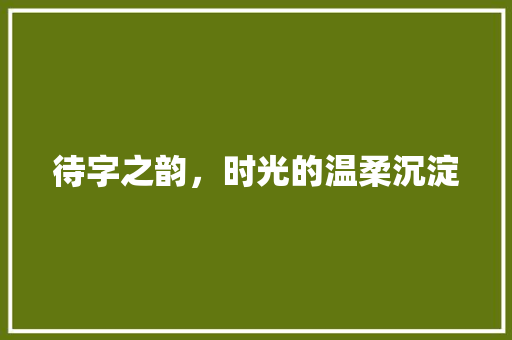 待字之韵，时光的温柔沉淀 生活类