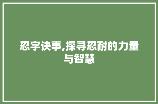 忍字诀事,探寻忍耐的力量与智慧 工作总结