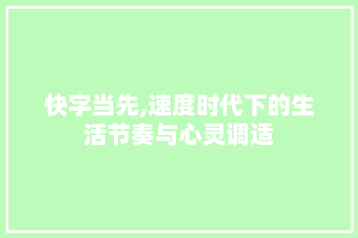 快字当先,速度时代下的生活节奏与心灵调适