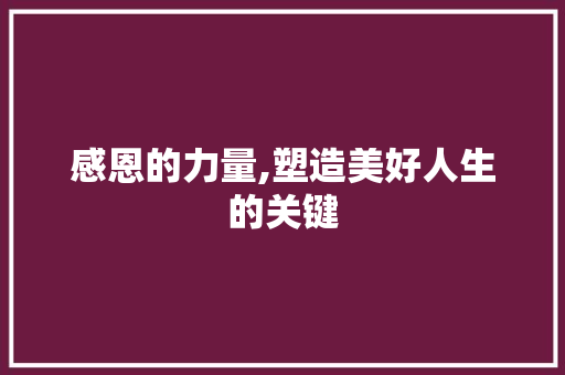 感恩的力量,塑造美好人生的关键