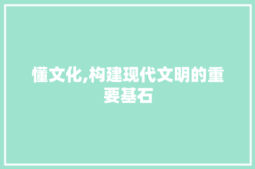 懂文化,构建现代文明的重要基石