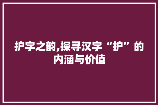 护字之韵,探寻汉字“护”的内涵与价值