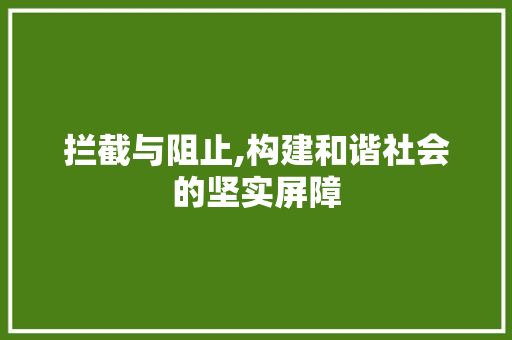 拦截与阻止,构建和谐社会的坚实屏障