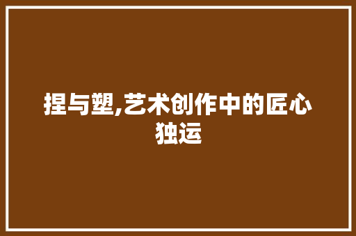 捏与塑,艺术创作中的匠心独运