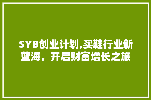 SYB创业计划,买鞋行业新蓝海，开启财富增长之旅