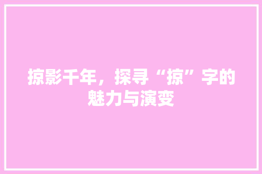 掠影千年，探寻“掠”字的魅力与演变