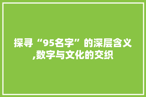 探寻“95名字”的深层含义,数字与文化的交织