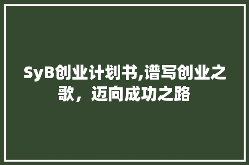 SyB创业计划书,谱写创业之歌，迈向成功之路