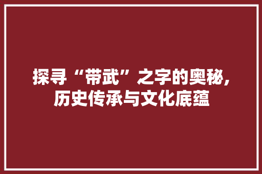 探寻“带武”之字的奥秘,历史传承与文化底蕴 工作报告