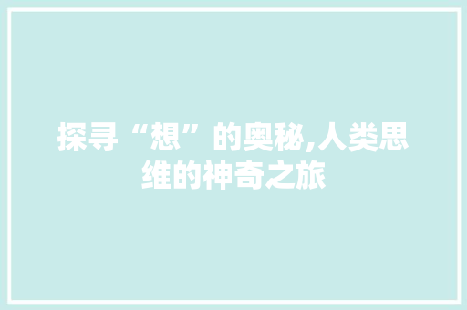 探寻“想”的奥秘,人类思维的神奇之旅