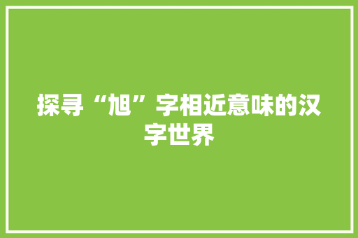 探寻“旭”字相近意味的汉字世界 工作总结