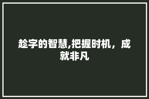 趁字的智慧,把握时机，成就非凡