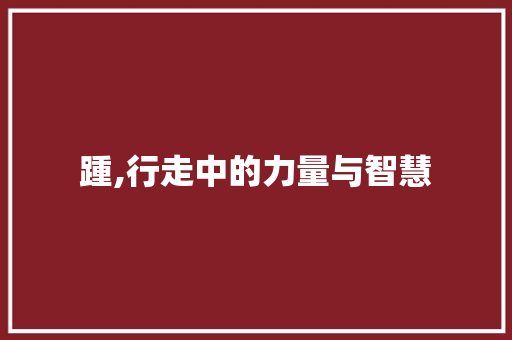 踵,行走中的力量与智慧