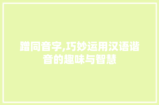 蹭同音字,巧妙运用汉语谐音的趣味与智慧