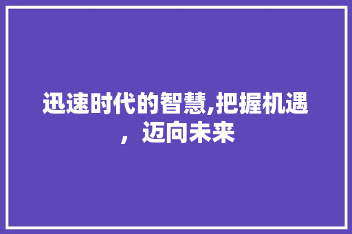 迅速时代的智慧,把握机遇，迈向未来