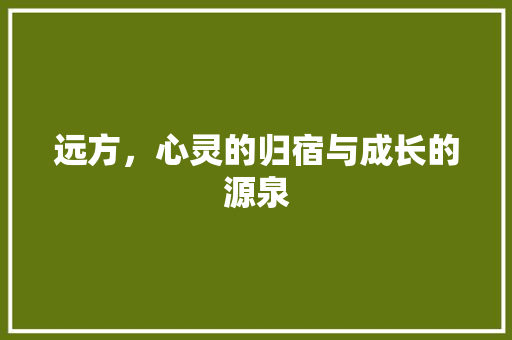 远方，心灵的归宿与成长的源泉