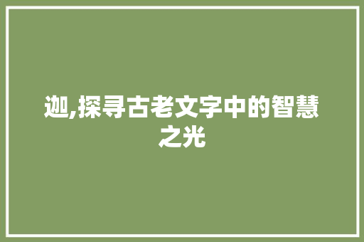 迦,探寻古老文字中的智慧之光