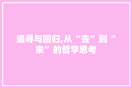 追寻与回归,从“去”到“来”的哲学思考