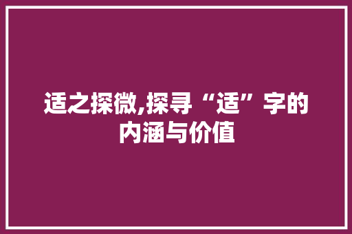 适之探微,探寻“适”字的内涵与价值