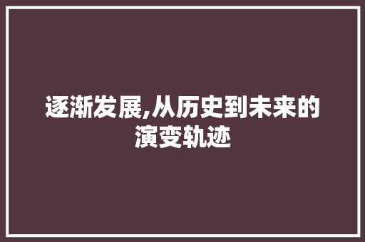 逐渐发展,从历史到未来的演变轨迹