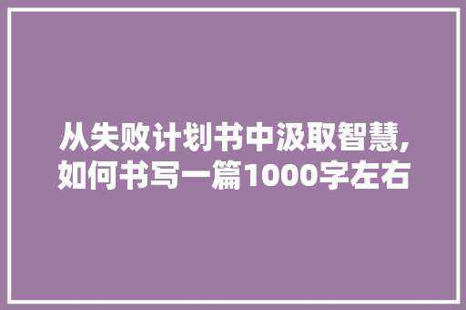 从失败计划书中汲取智慧,如何书写一篇1000字左右的文章