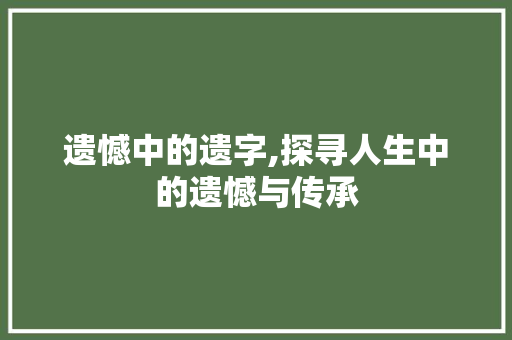 遗憾中的遗字,探寻人生中的遗憾与传承