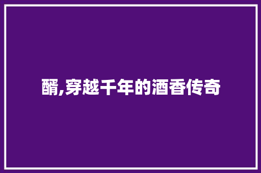 醑,穿越千年的酒香传奇