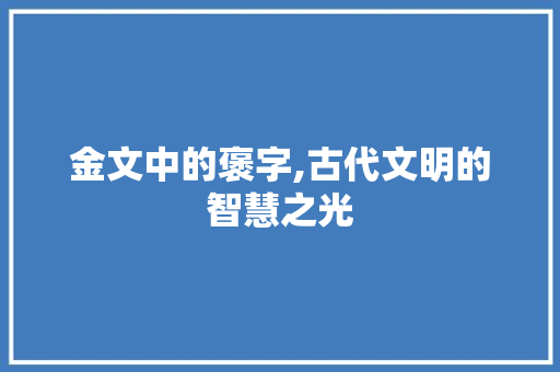 金文中的褒字,古代文明的智慧之光