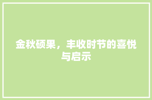 金秋硕果，丰收时节的喜悦与启示