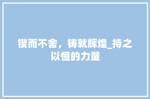 锲而不舍，铸就辉煌_持之以恒的力量 采访稿