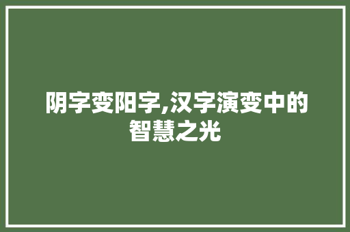阴字变阳字,汉字演变中的智慧之光 工作总结