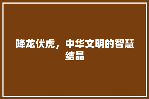降龙伏虎，中华文明的智慧结晶