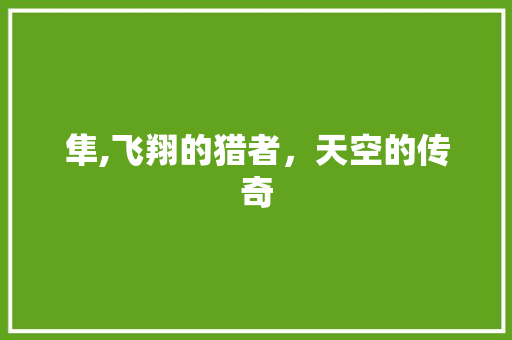 隼,飞翔的猎者，天空的传奇